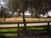 Photo - Country Living on Beautiful Melrose Ranch