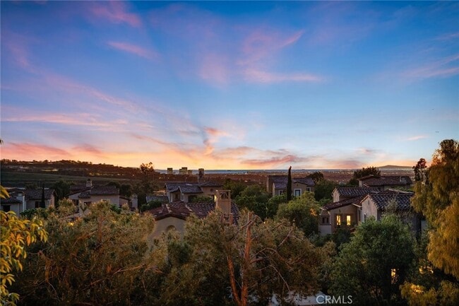 Photo - 33 Tall Hedge