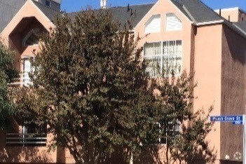 Building Photo - 11205 Peach Grove St Unit 6 Rental