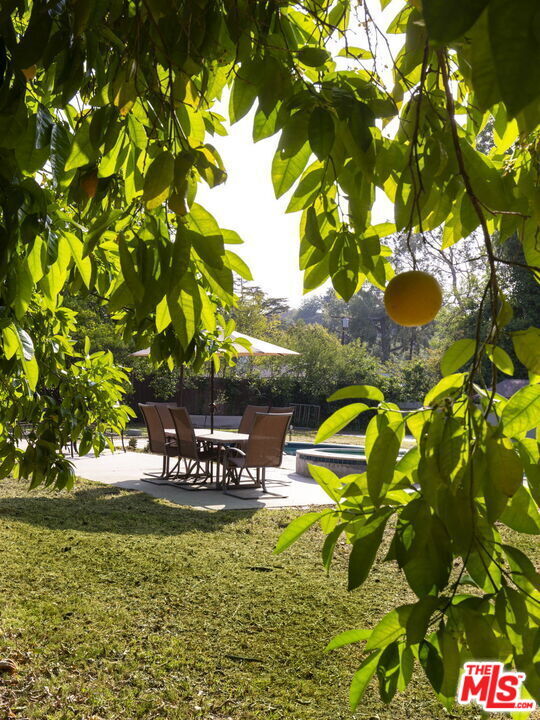 Photo - 5124 Calenda Dr