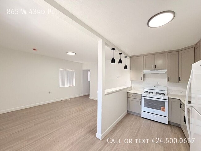 Photo - 865 W 43rd Pl