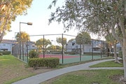 Tennis Court - Arbor Ridge Apartments