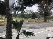 Park view from your living room - 601 N Park Ave