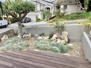 View from patio - 2616 Walnut Ave