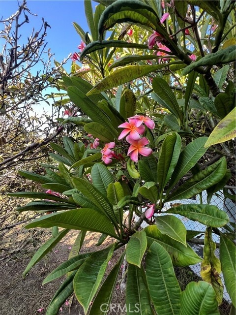 Photo - 1355 W 49th St