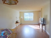 Living Room - 8774 Wyngate St
