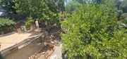 Photo - 11023 Tujunga Canyon Blvd House