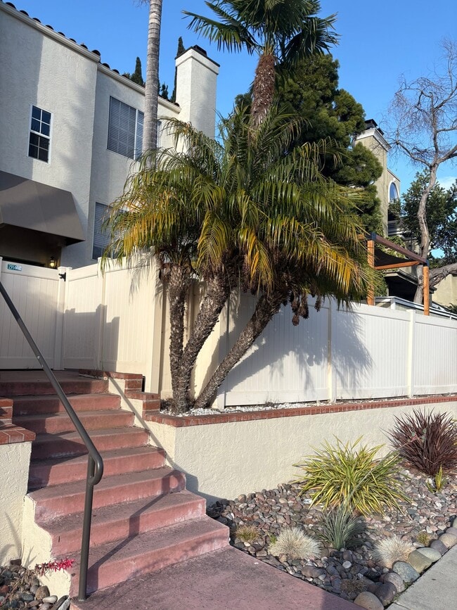 Photo - 2914 Luciernaga St