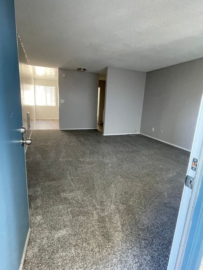 Photo - DOTY (Ocean Breeze)