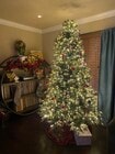 Living room with large Christmas tree! - 4849 Williamsburg Ln Unit 269