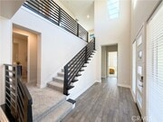 Photo - 64 Turnstone