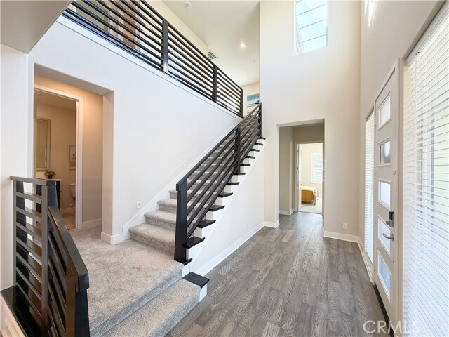 Photo - 64 Turnstone