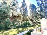 Photo - 4553 Chateau Dr