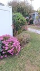 Photo - 1 Block from the Beach! Apartment Home in ... Unit 4830 Pescadero Ave