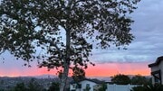 Photo - 3237 S Bonita St