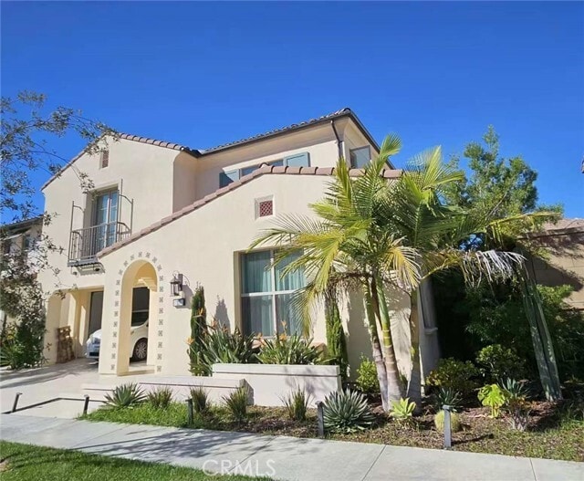 Photo - 117 Parakeet