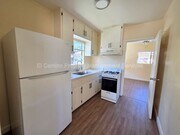 Photo - 4013 Live Oak St