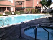 Pool and SPa - Stonegate