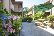 Photo - Trade Winds Apartments