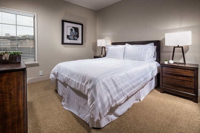 Photo - Channel Point