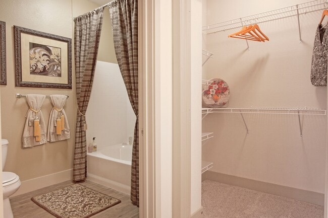 Rancho Belago - Rancho Belago