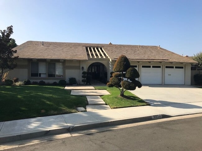 Building Photo - Turtle Rock Gem