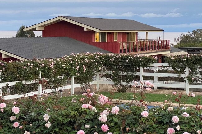 Building Photo - 27545 Pacific Coast Hwy