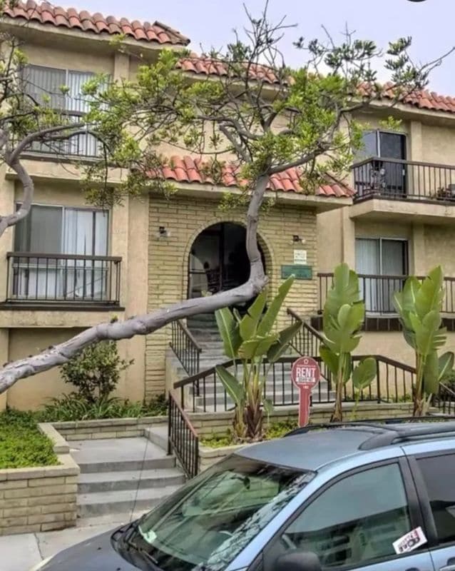 Photo - 4046 W 132nd St Apartment