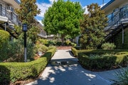 Courtyard - Magnolia Apartments