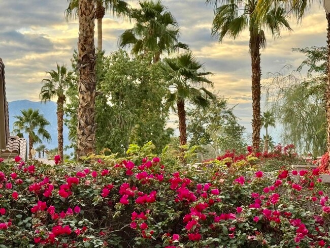 Photo - 78686 Hampshire Ave