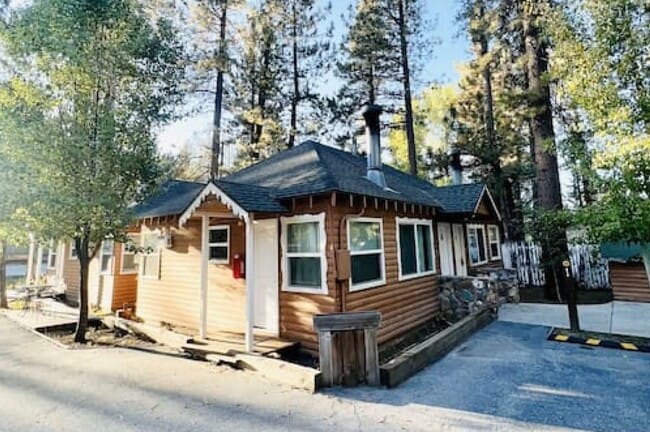 Building Photo - 877 Tulip Ln Unit Timberhaven Lodge 3