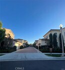 Photo - 146 Stallion