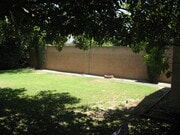 Backyard - Partial - 3121 W Wyoming Ave House
