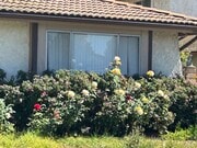 Photo - 876 Palmer Ave Unit Ashley Vener