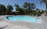 Pool - Esplanade Apartments