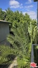 Photo - 350 S Hobart Blvd Apartment Unit 5