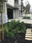 Photo - 14828 Rayen St Apartments
