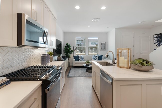 Photo - Stirling at Cota Vera