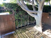 Front yard - 1318 N McCadden Pl Unit 1318