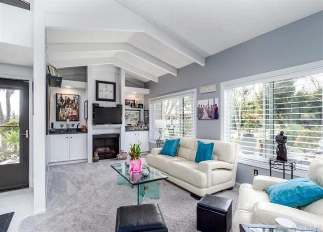 Photo - 1165 Santa Helena Park Ct Townhome