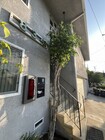 Photo - 834 Green St Apartments Unit 3