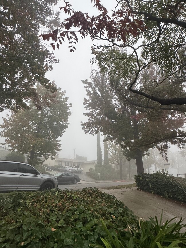 Photo - 9809 Creemore Dr Unit 9807