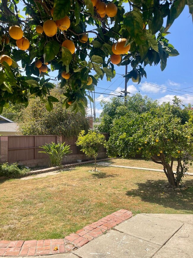 Photo - Updated 4-Bed 2-Bath | $4220 Mo | Large yard | Fruit Trees