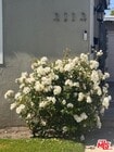 Photo - 3113 W 36th St Condo