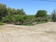Photo - 3bd/2ba + 1bd/1ba country living home