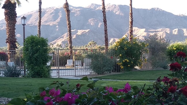 Mountain View from back patio - 72 Majorca Dr Unit 72 Sunrise Country Club