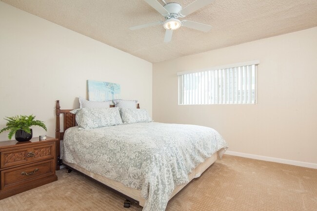 Photo - Water, Cable, Trash Included in this Beaut... Unit 26