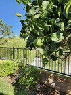 Photo - 5885 Indian Pointe Dr