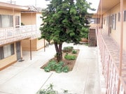 Courtyard - 3828 W 182nd St Apartments