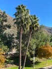 Photo - 3183 Dehesa Rd Condo Unit 24